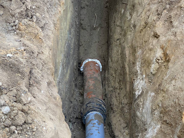 Best Sewage cleanup and water damage restoration  in Mked Tree, AR