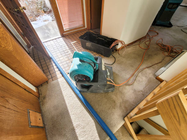 Best Local water damage restoration  in Mked Tree, AR