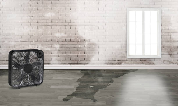 Best Flood restoration services  in Mked Tree, AR