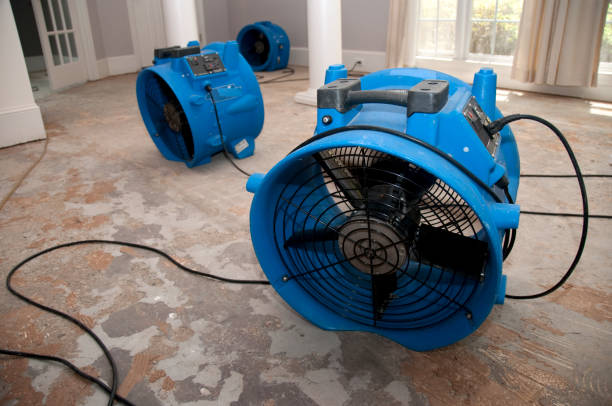 Water damage restoration experts in Marked Tree, AR