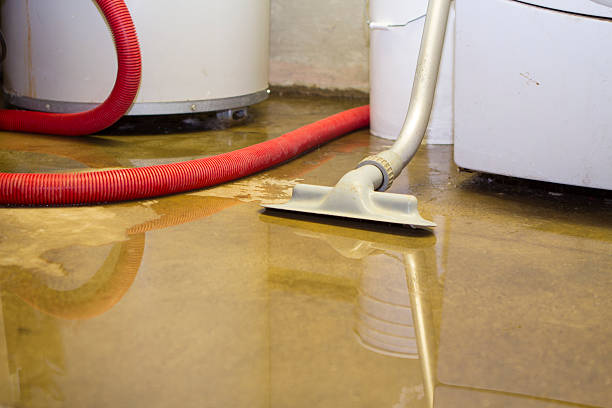 Best Flood damage cleanup  in Mked Tree, AR