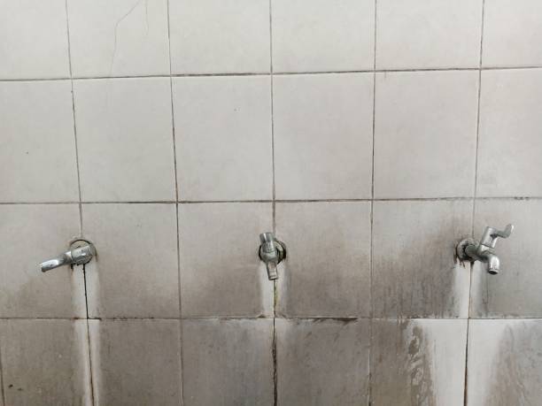 Best Carpet water damage restoration  in Mked Tree, AR